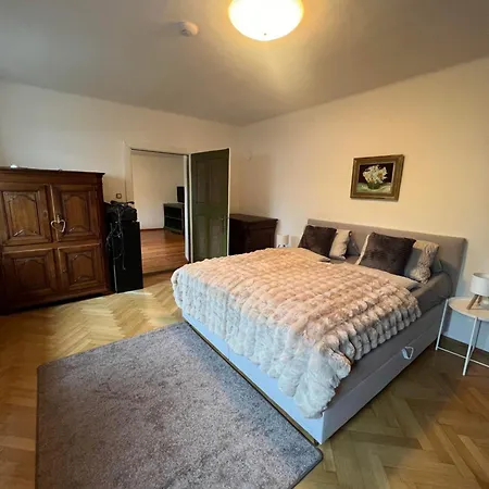 Steinlicht Apartment *